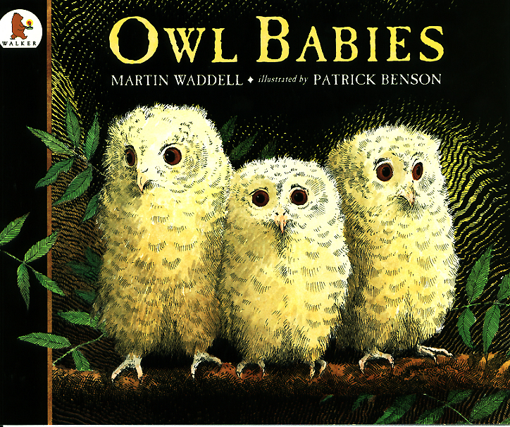 Owl Babies
